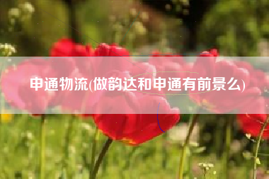 申通物流(做韵达和申通有前景么)