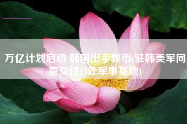 万亿计划启动 韩国出手救市(驻韩美军同意交付15处军事基地)