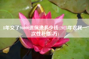 8年交了96000退保退多少钱(2023年农民一次性补缴5万)