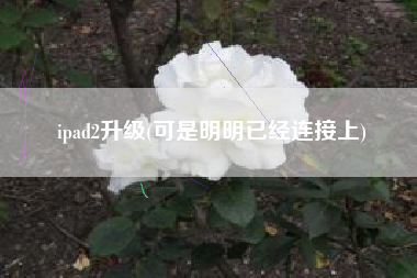 ipad2升级(可是明明已经连接上)