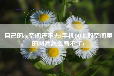 自己的qq空间进不去(手机QQ上的空间里的图片怎么看不了)