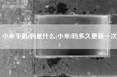 小米手机f码是什么(小米f码多久更新一次)