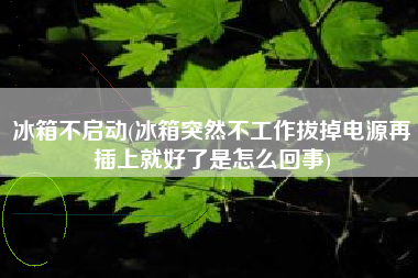 冰箱不启动(冰箱突然不工作拔掉电源再插上就好了是怎么回事)