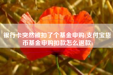 银行卡突然被扣了个基金申购(支付宝货币基金申购扣款怎么退款)