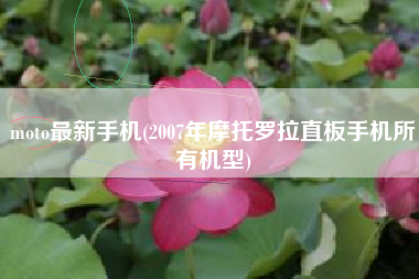 moto最新手机(2007年摩托罗拉直板手机所有机型)