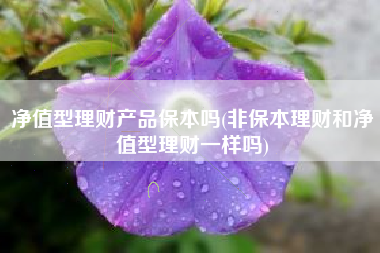净值型理财产品保本吗(非保本理财和净值型理财一样吗)