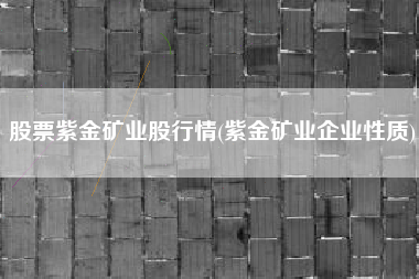股票紫金矿业股行情(紫金矿业企业性质)