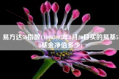 易方达50指数110003(07年8月20日买的易基50基金净值多少)