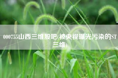 000755山西三维股吧(被央视曝光污染的ST三维)