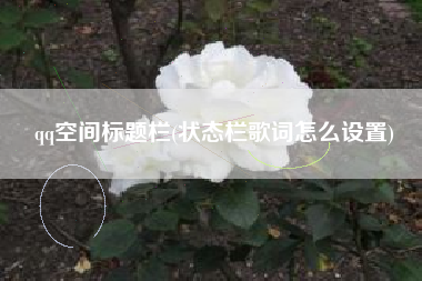 qq空间标题栏(状态栏歌词怎么设置)