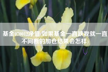 基金070012净值(如果基金一直跌我就一直不间断的加仓结果会怎样)