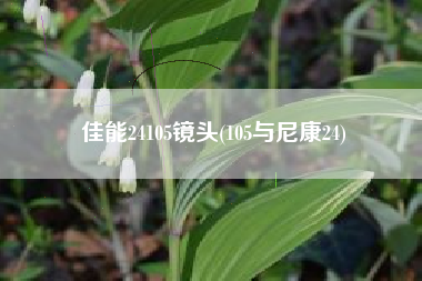 佳能24105镜头(105与尼康24)
