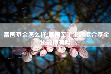 富国基金怎么样(富国军工主题混合基金还能持有吗)