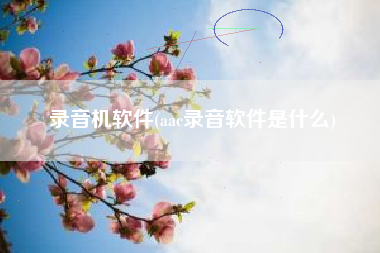 录音机软件(aac录音软件是什么)