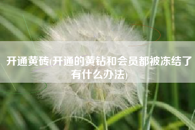 开通黄砖(开通的黄钻和会员都被冻结了有什么办法)