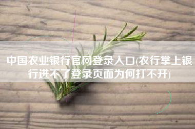 中国农业银行官网登录入口(农行掌上银行进不了登录页面为何打不开)