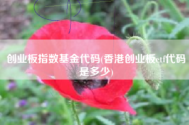 创业板指数基金代码(香港创业板etf代码是多少)