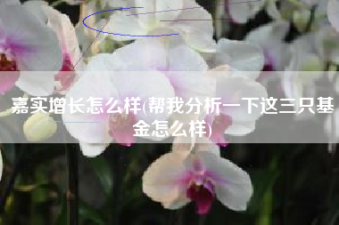 嘉实增长怎么样(帮我分析一下这三只基金怎么样)
