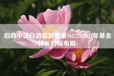招商中证白酒指数基金161725(2021年基金什么时候布局)