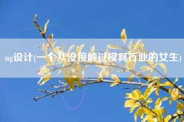 ug设计(一个从没接触过模具行业的女生)