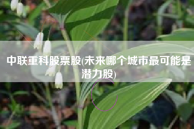 中联重科股票股(未来哪个城市最可能是潜力股)