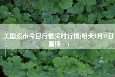 美国股市今日行情实时行情(明天1月12日星期二)