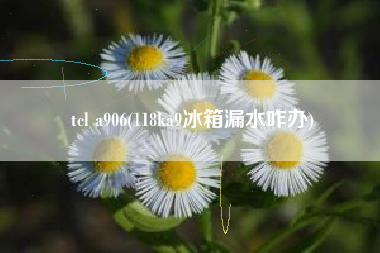 tcl a906(118ka9冰箱漏水咋办)
