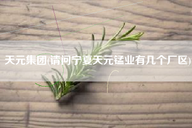天元集团(请问宁夏天元锰业有几个厂区)
