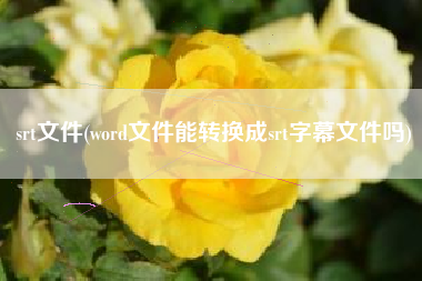 srt文件(word文件能转换成srt字幕文件吗)