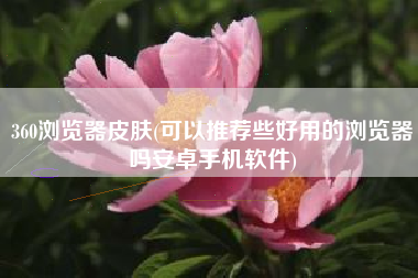 360浏览器皮肤(可以推荐些好用的浏览器吗安卓手机软件)