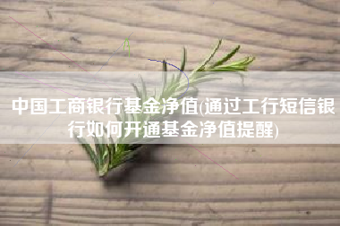 中国工商银行基金净值(通过工行短信银行如何开通基金净值提醒)