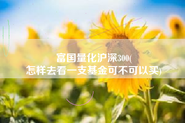 富国量化沪深300(
怎样去看一支基金可不可以买) 富国量化沪深300(
怎样去看一支基金可不可以买)