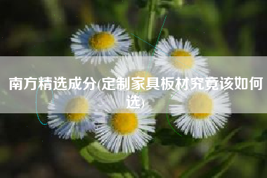 南方精选成分(定制家具板材究竟该如何选)