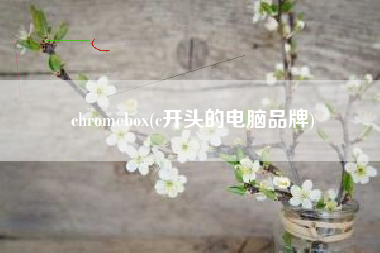 chromebox(c开头的电脑品牌)