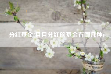 分红基金(月月分红的基金有哪几种)