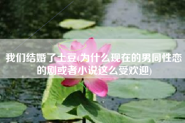 我们结婚了土豆(为什么现在的男同性恋的剧或者小说这么受欢迎)