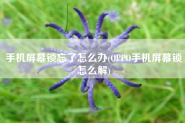 手机屏幕锁忘了怎么办(OPPO手机屏幕锁怎么解)