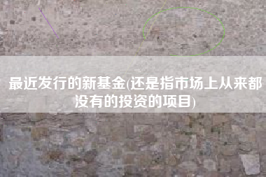 最近发行的新基金(还是指市场上从来都没有的投资的项目)