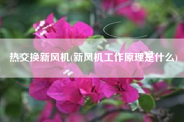 热交换新风机(新风机工作原理是什么)
