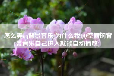 怎么弄qq背景音乐(为什么我QQ空间的背景音乐自己进入就能自动播放)