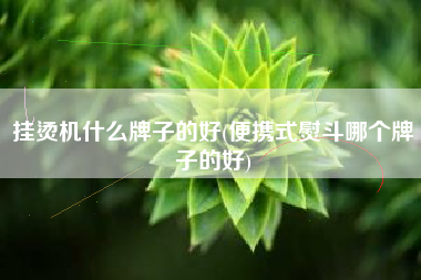 挂烫机什么牌子的好(便携式熨斗哪个牌子的好)