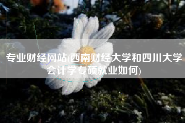 专业财经网站(西南财经大学和四川大学会计学专硕就业如何)