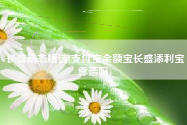 长盛动态精选(支付宝余额宝长盛添利宝靠谱吗)