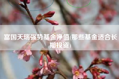 富国天瑞强势基金净值(那些基金适合长期投资)