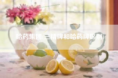 哈药集团(三精牌和哈药牌区别)