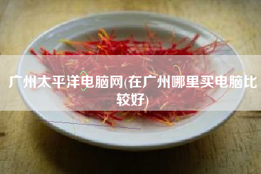 广州太平洋电脑网(在广州哪里买电脑比较好)