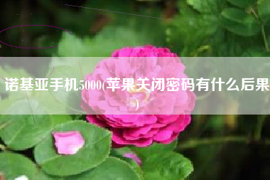 诺基亚手机5000(苹果关闭密码有什么后果)