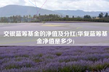 交银蓝筹基金的净值及分红(华复蓝筹基金净值是多少)