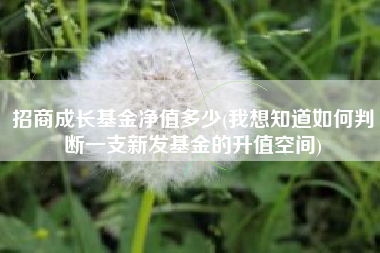 招商成长基金净值多少(我想知道如何判断一支新发基金的升值空间)
