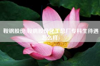 鞍钢股份(鞍钢股份化工总厂专科生待遇怎么样)